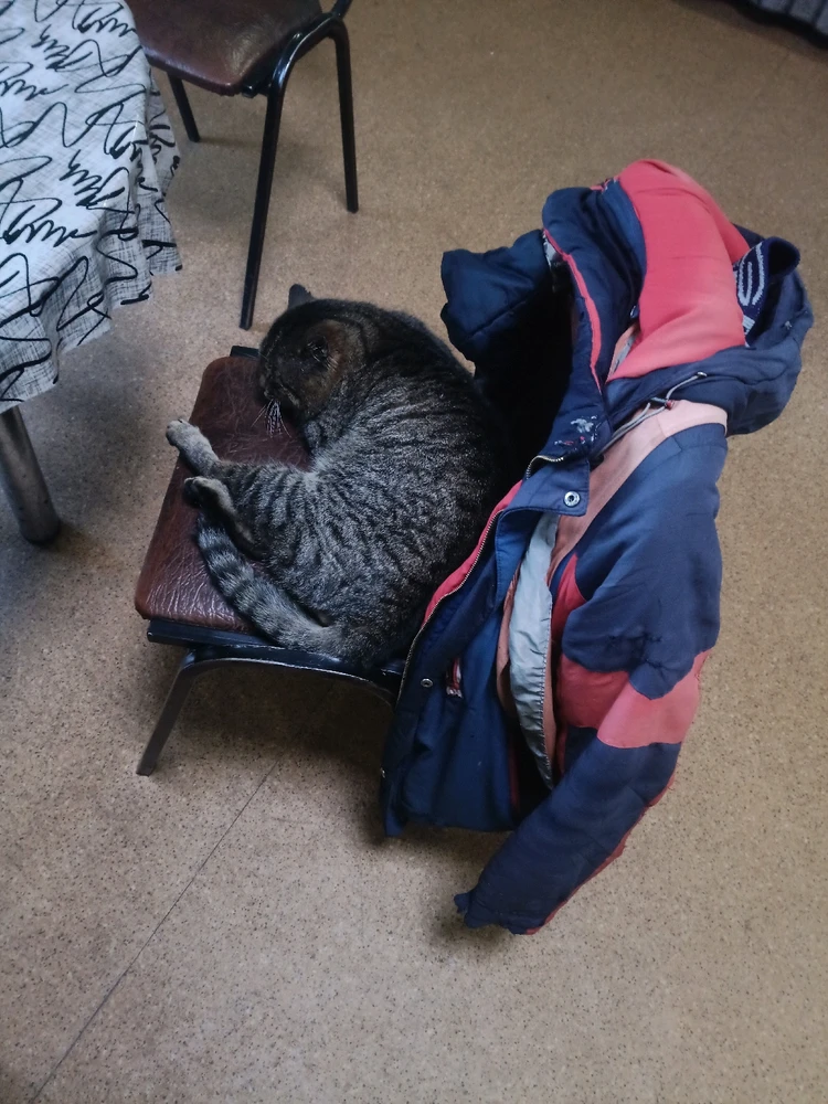 Зображення завантажив Юрій