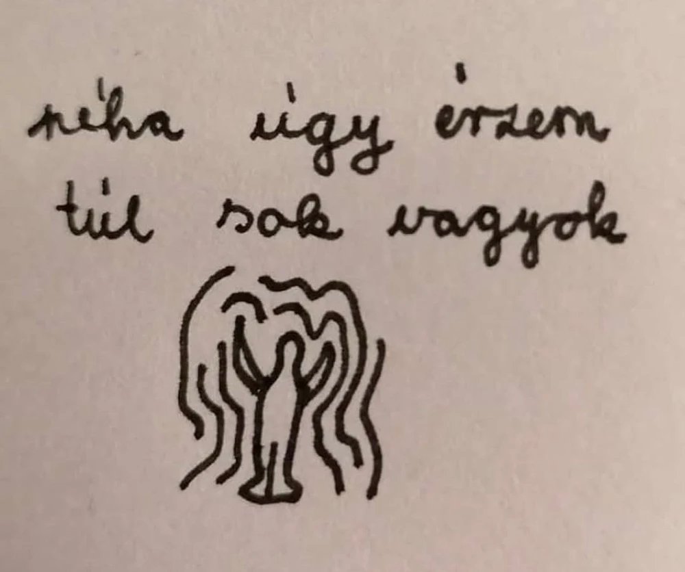 József által feltöltött GIF