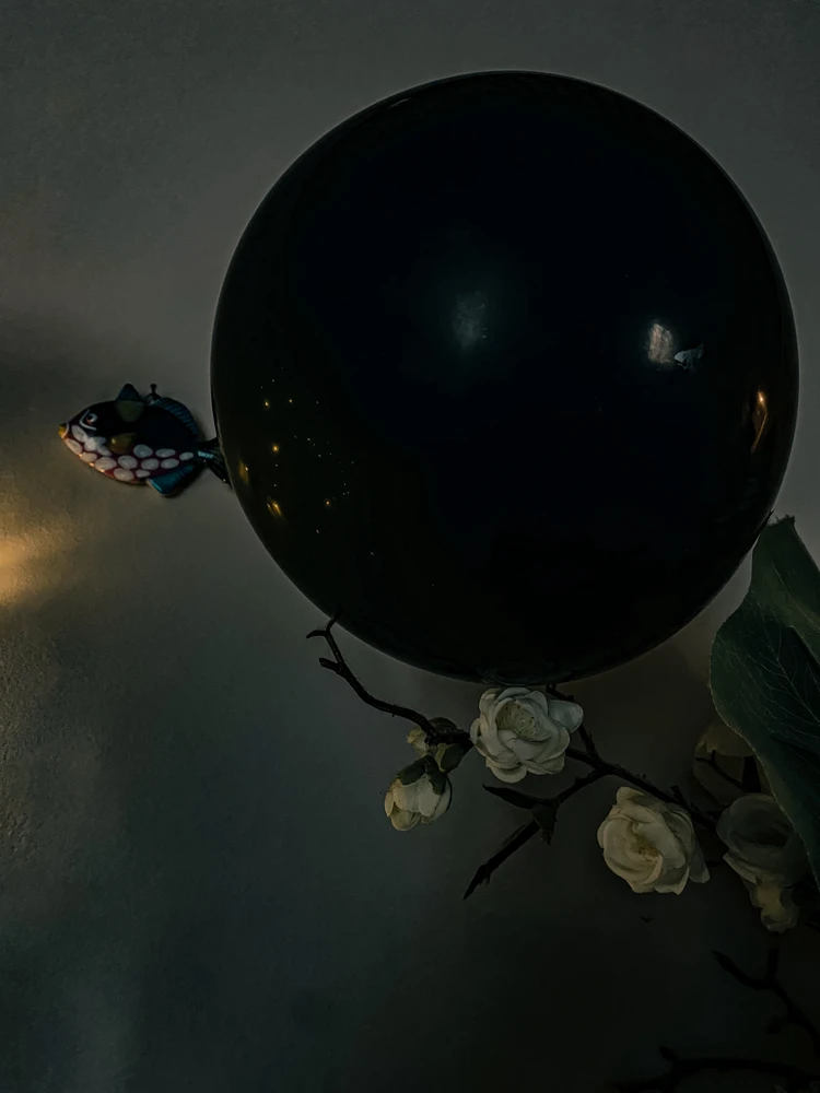 GIF caricata da Nicolò