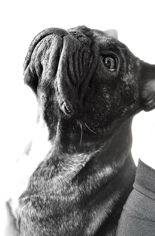 GIF dodany przez Gabriela