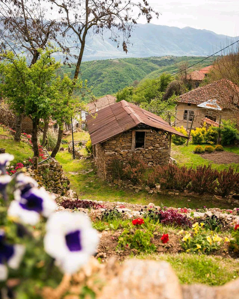 Качено от Самуил Samchester