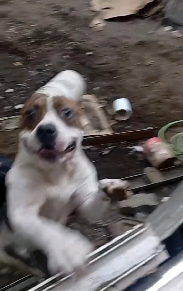 Imagen subida por Javoncio