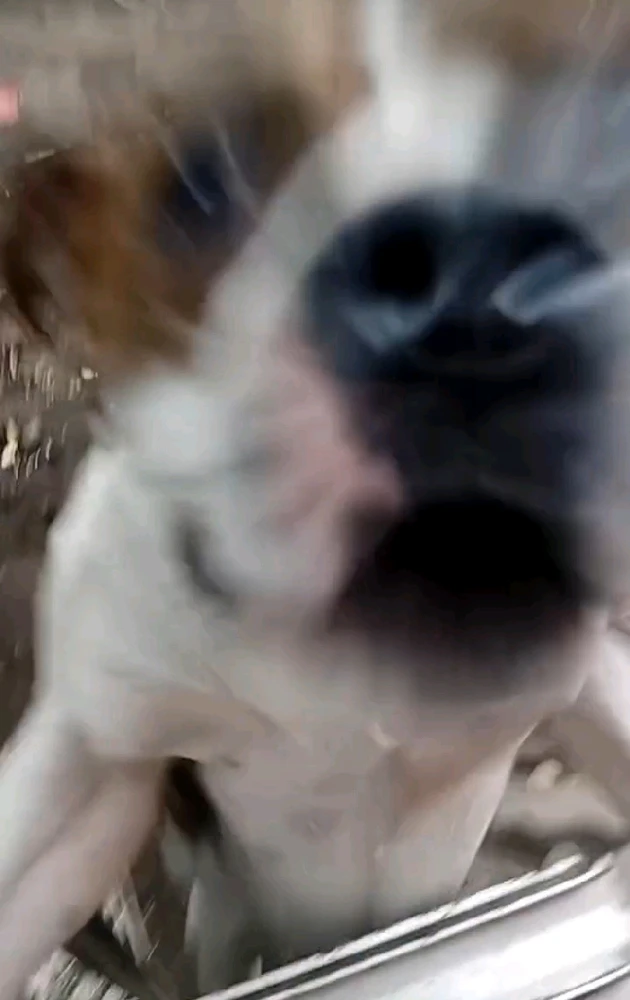 Imagen subida por Javoncio