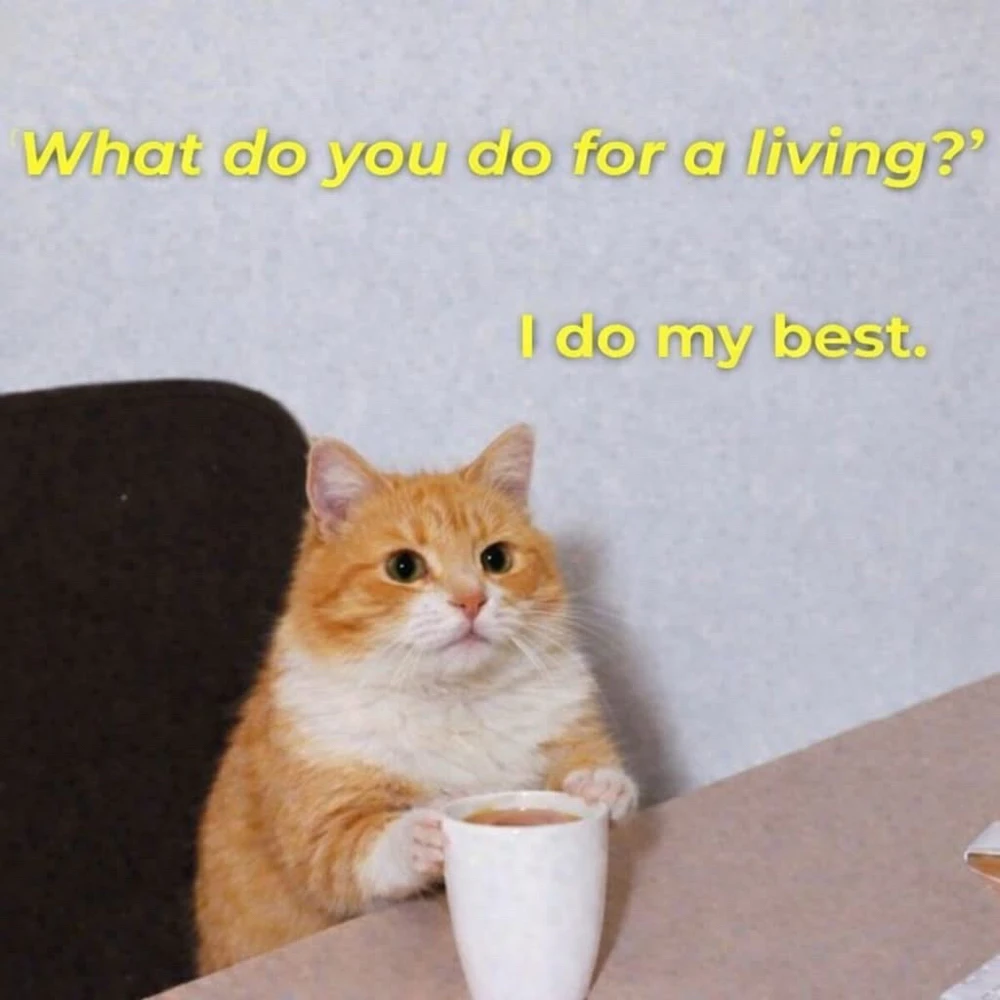 GIF uploaded by A (READ MY BIO FIRST)