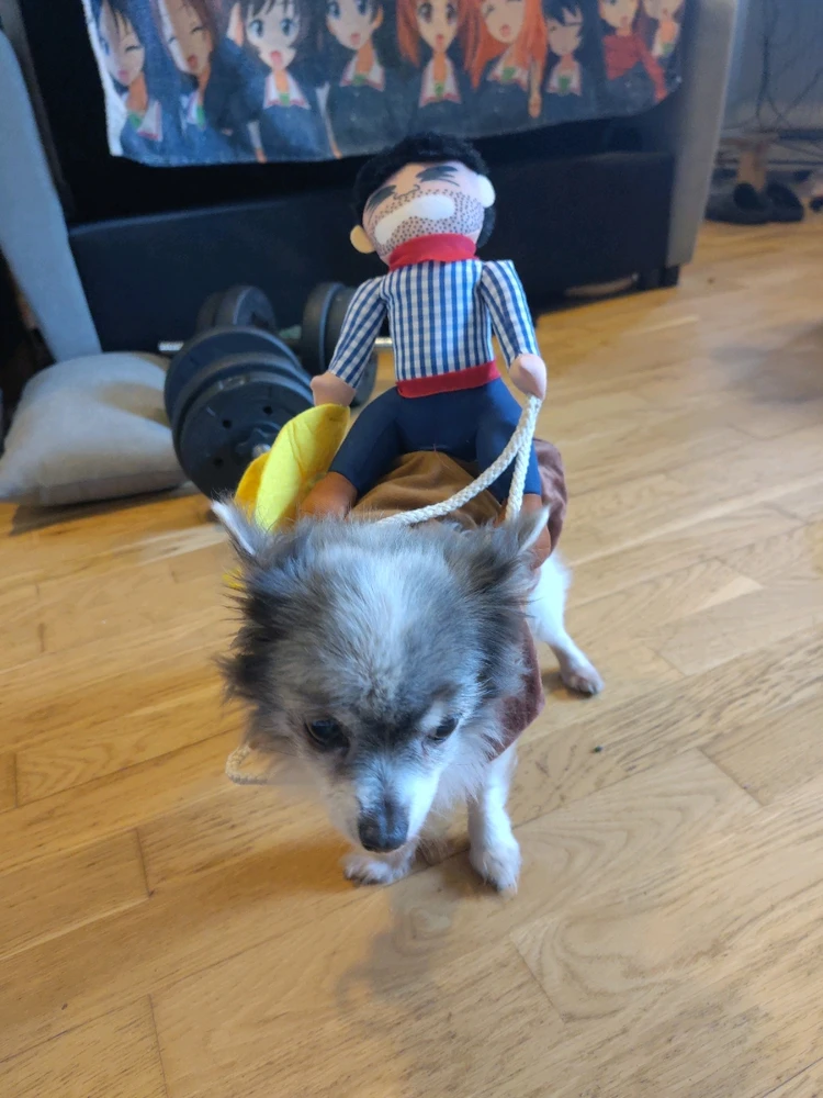 Image uploaded by Sascha