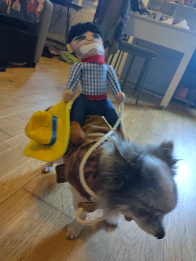 Image uploaded by Sascha