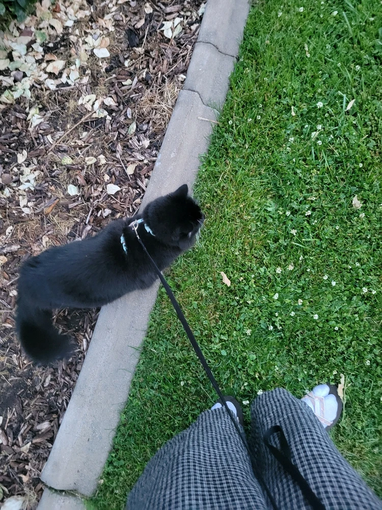 GIF uploaded by Nadia