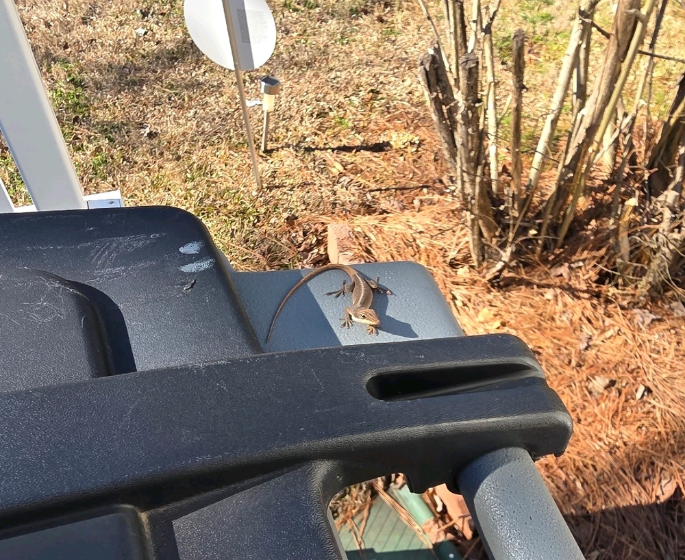 GIF uploaded by Jamari