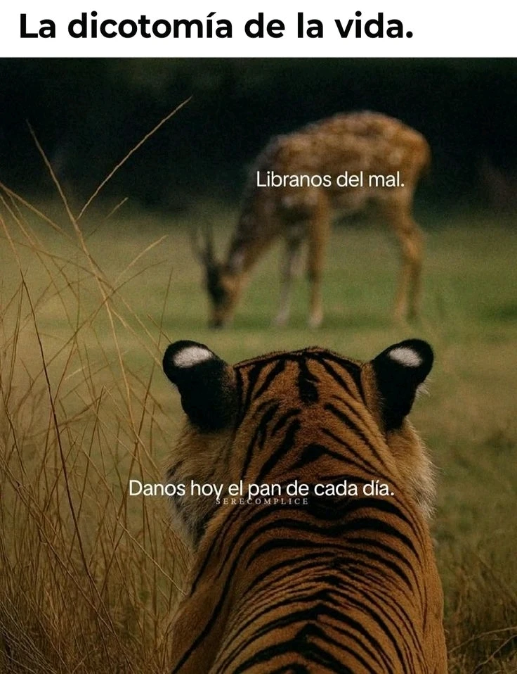 GIF subido por Jair de