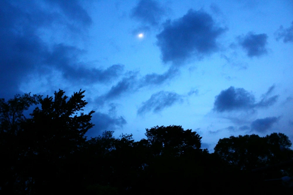 GIF uploaded by Roberto