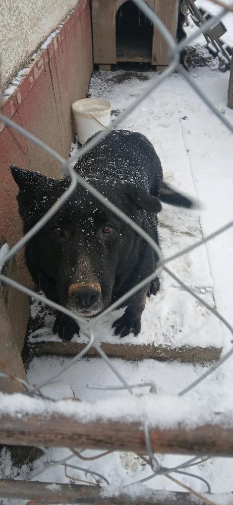 Image uploaded by Broni