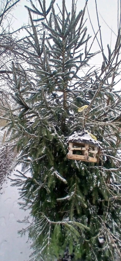 Image uploaded by Broni