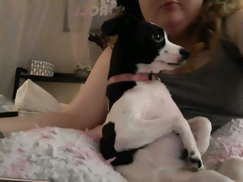 Image uploaded by Kaissy