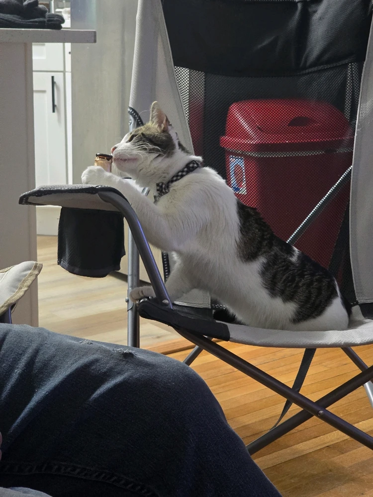 GIF uploaded by Isabel