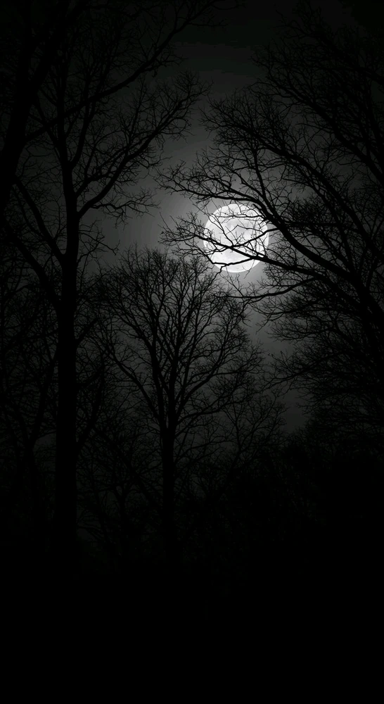 Imagen subida por Adrian