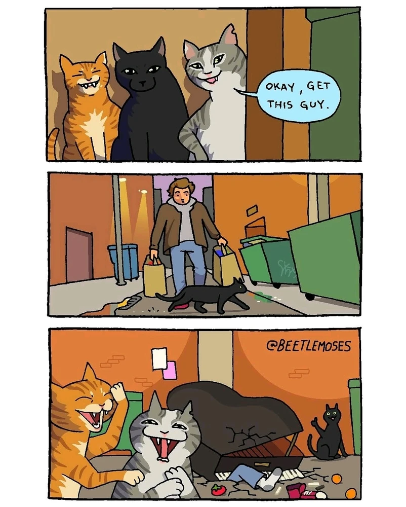 GIF hochgeladen von Matthias