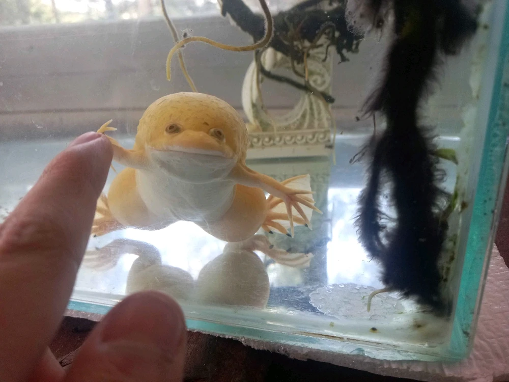 GIF uploaded by Pablo