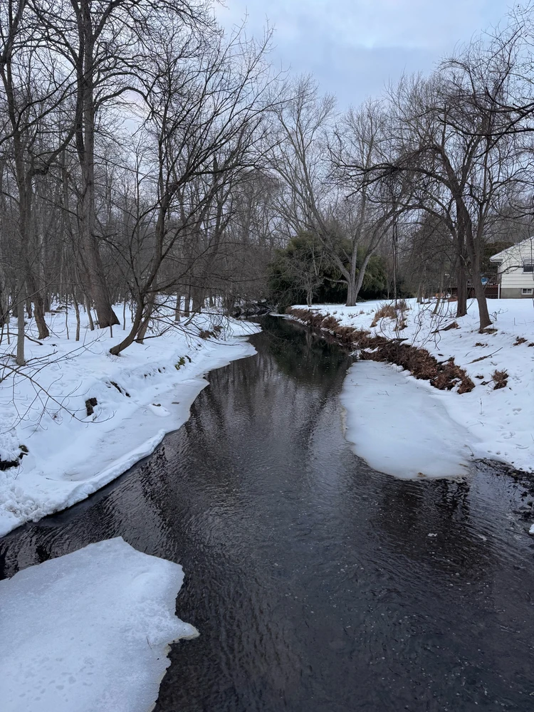 Image uploaded by Divania