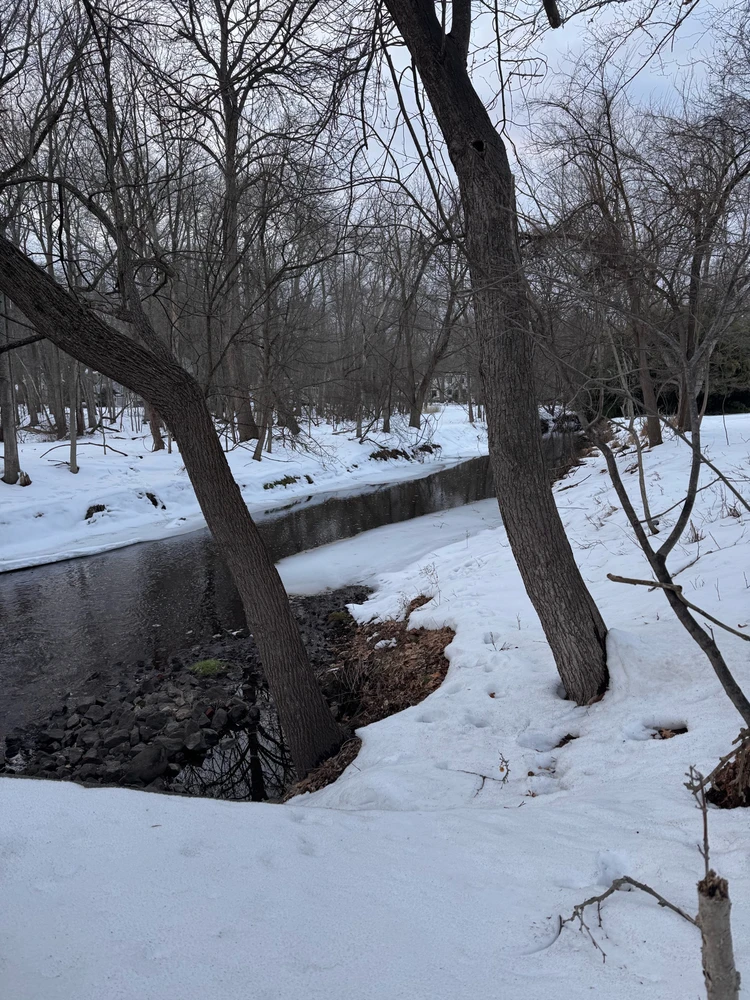 Image uploaded by Divania