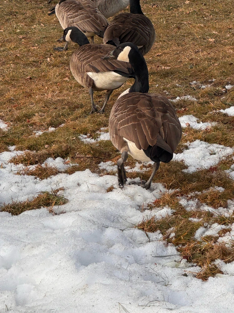 Image uploaded by Divania