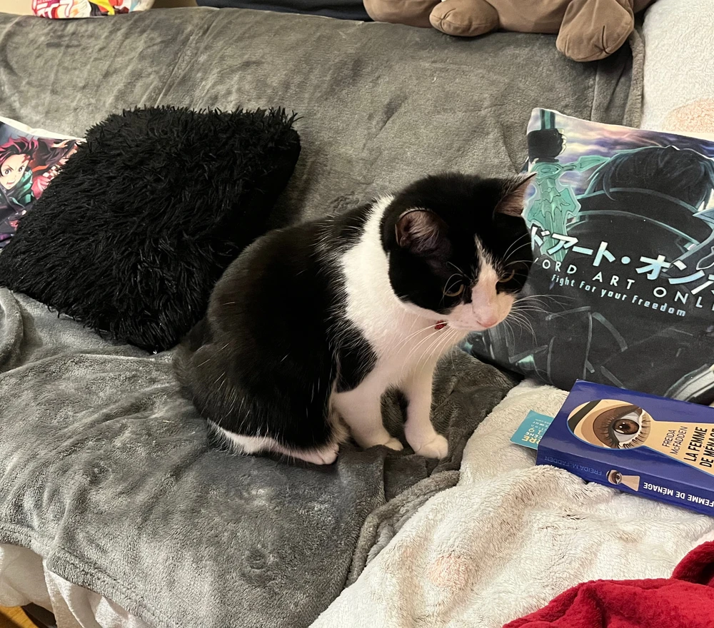 GIF ajouté par Monica