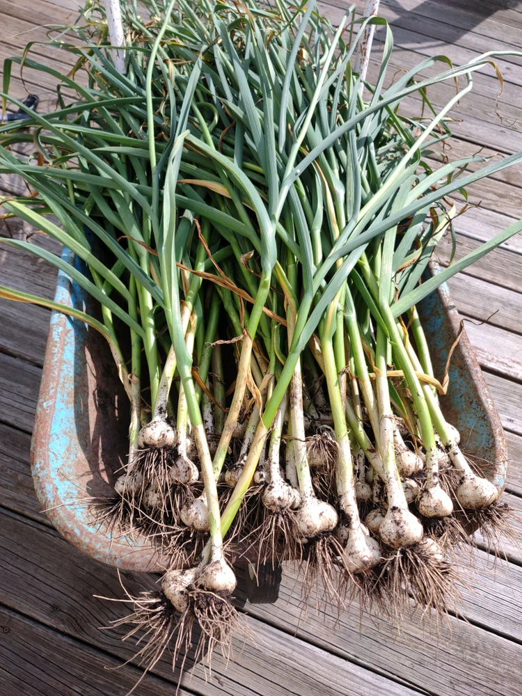 GIF uploaded by Jess