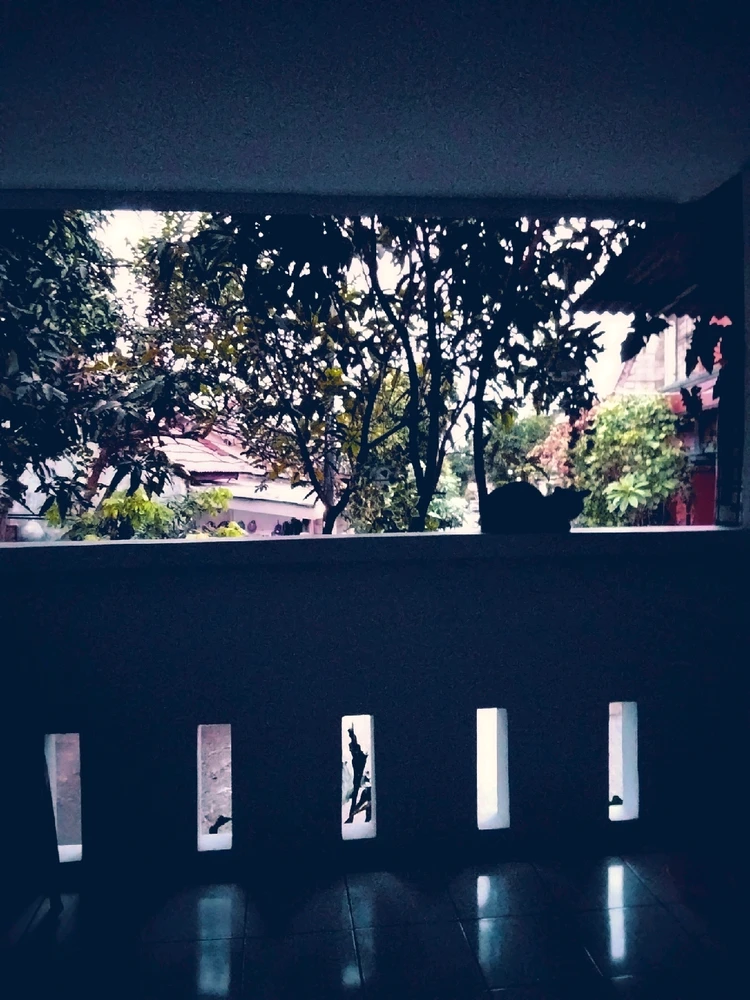 GIF diunggah oleh Kopi pait