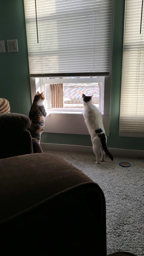 GIF uploaded by Bray