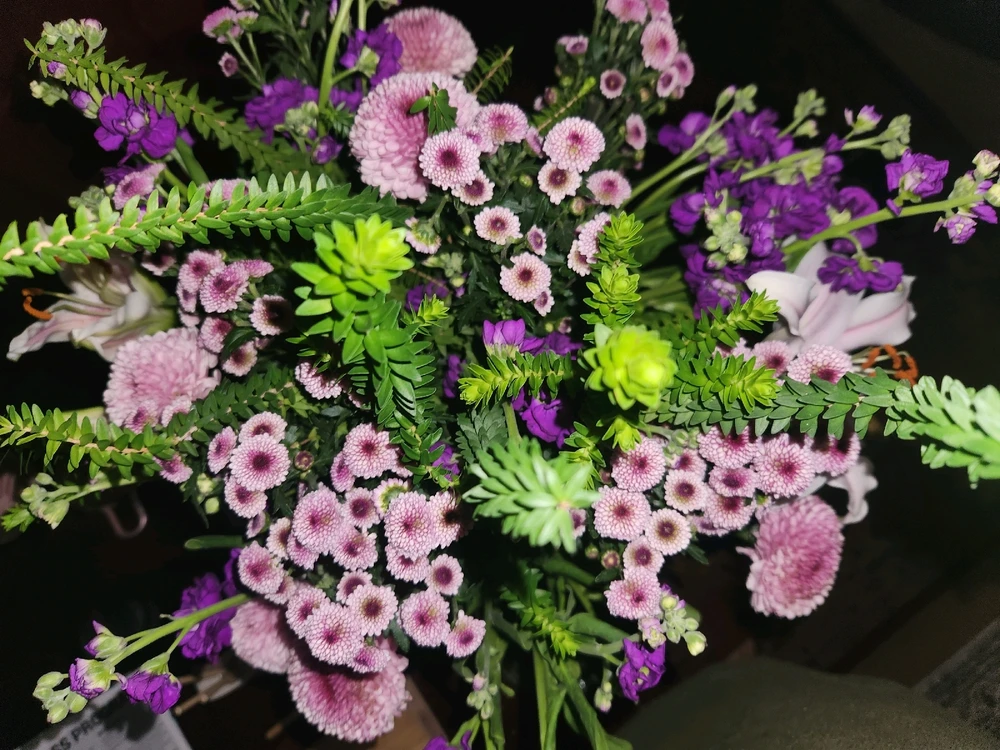 Image uploaded by Elle