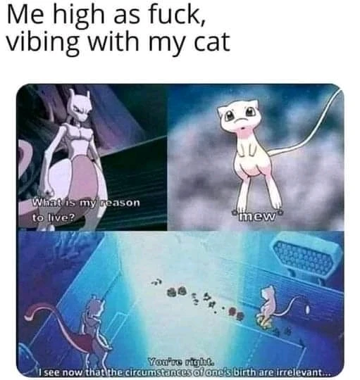 GIF uploaded by Allen