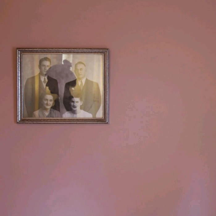 GIF uploaded by Brandon/ Noosa