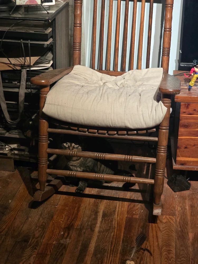 GIF uploaded by Tarik