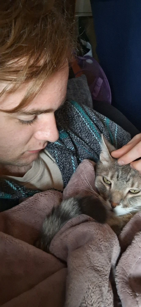 GIF uploaded by Collin