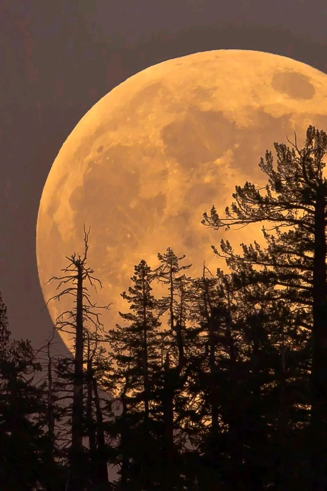 GIF uploaded by β€ Sophia aka Mango Mami β€οΈ