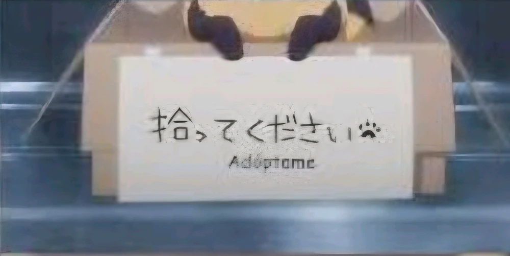 Imagen subida por Biel