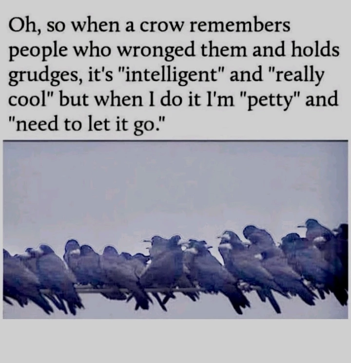 GIF uploaded by Prachi