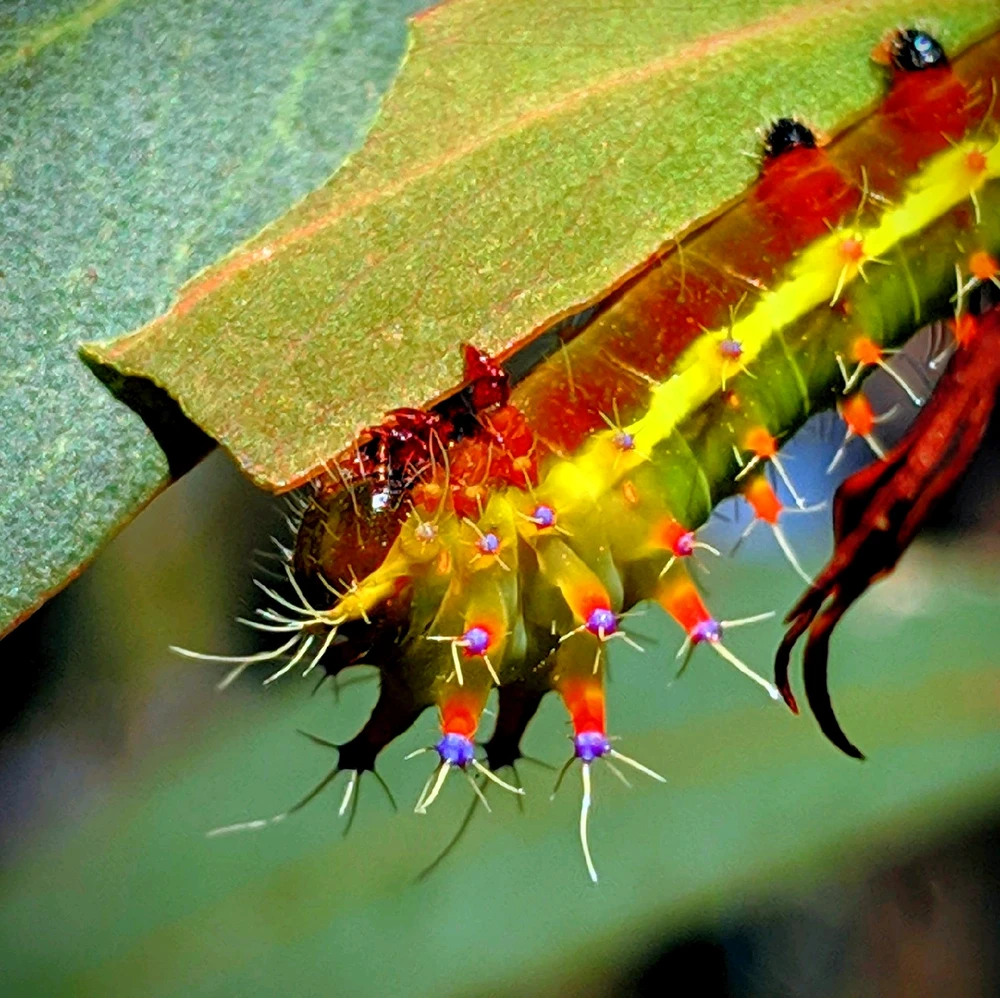 GIF uploaded by Chris