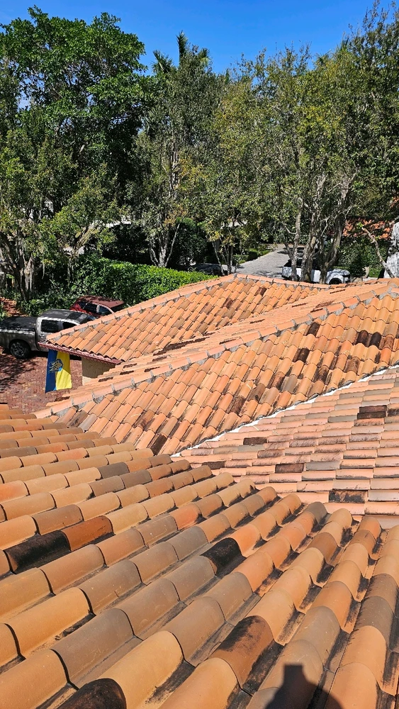 Image uploaded by Heiner