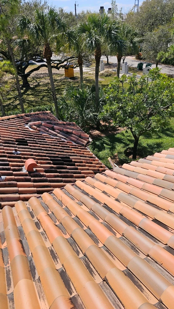 Image uploaded by Heiner