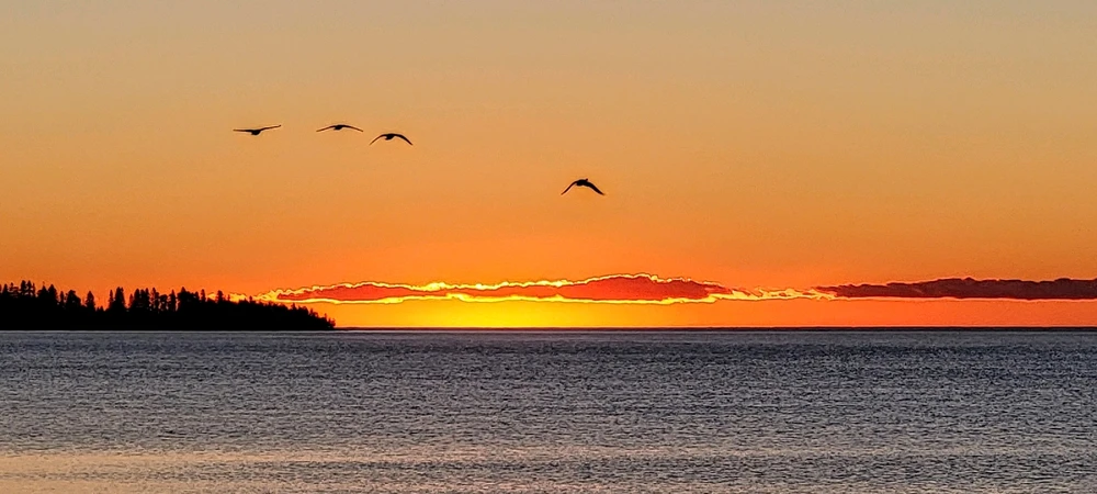 GIF uploaded by >ꋖꁏꋊꂖ(°~°)