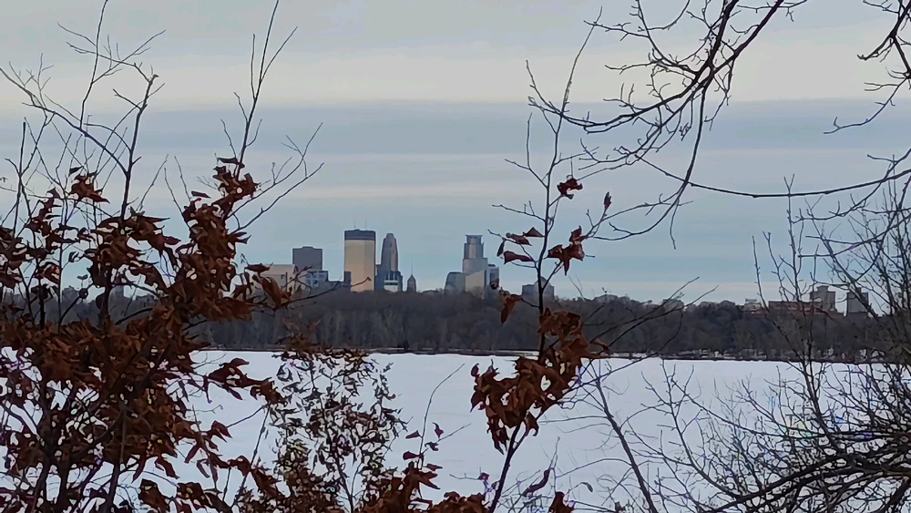 Image uploaded by Dan