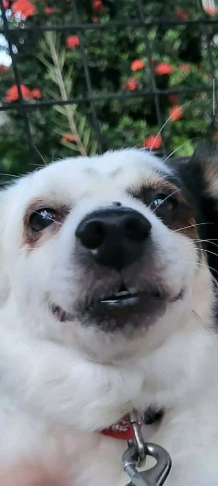 Image uploaded by Jann