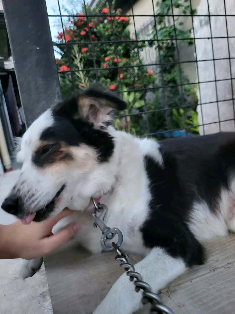 Image uploaded by Jann