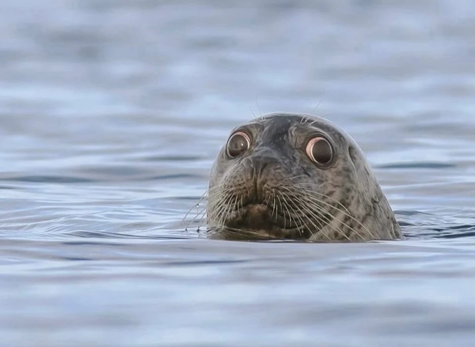 Image uploaded by Haley