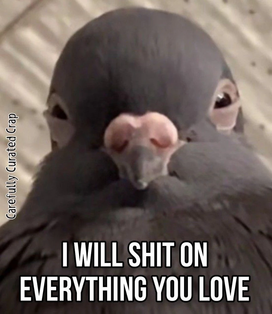 Image uploaded by Haley