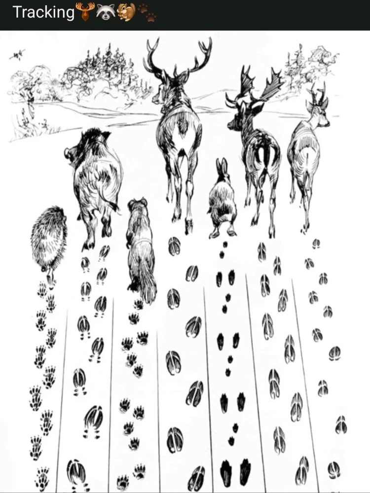 GIF uploaded by Toby