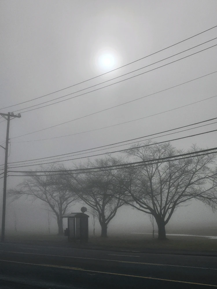 Image uploaded by Habit