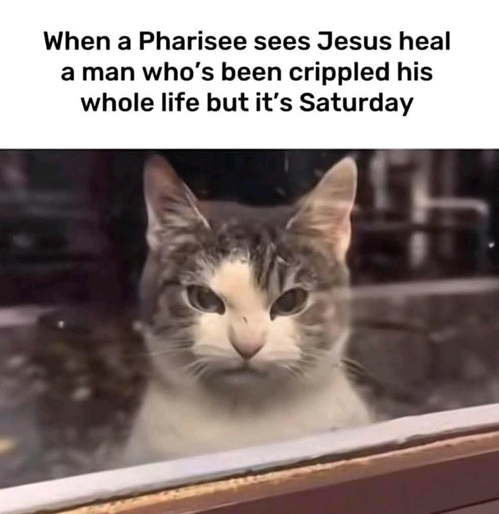 GIF uploaded by Kelcey