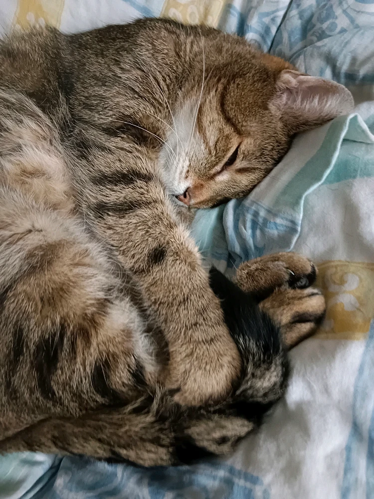 GIF hochgeladen von Kevin