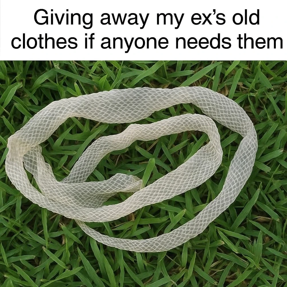 GIF uploaded by Leslie